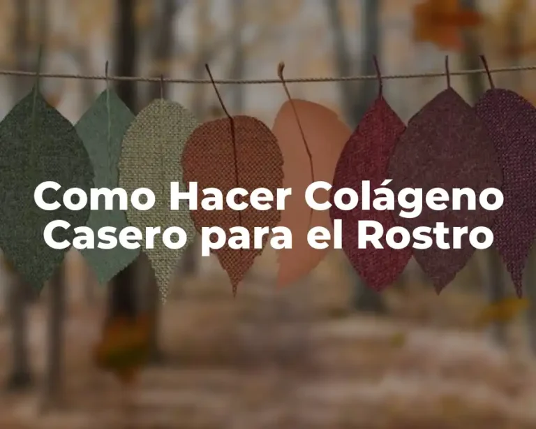 Como Hacer Colágeno Casero para el Rostro