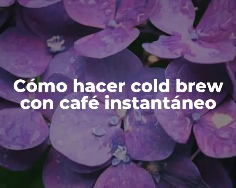 Cómo hacer cold brew con café instantáneo