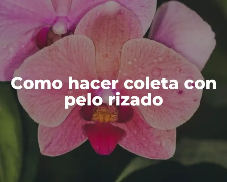 Como hacer coleta con pelo rizado