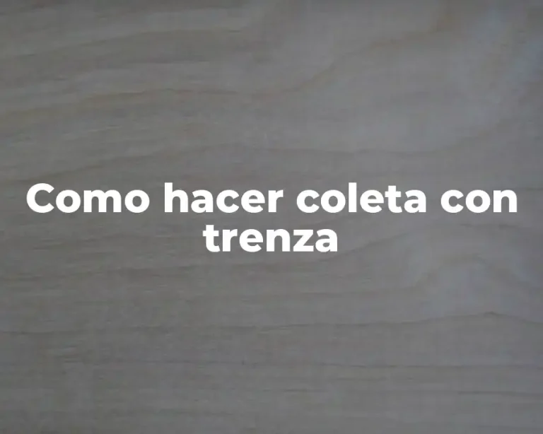 Como hacer coleta con trenza