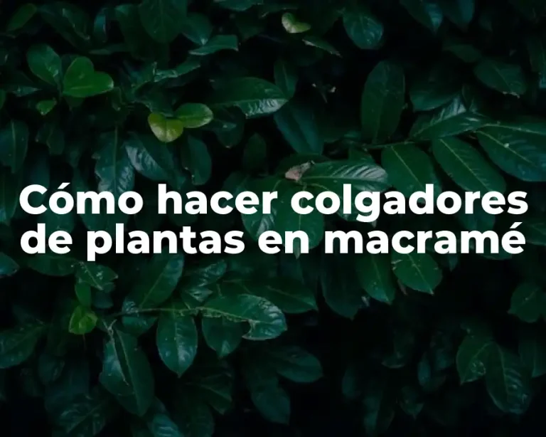 Cómo hacer colgadores de plantas en macramé
