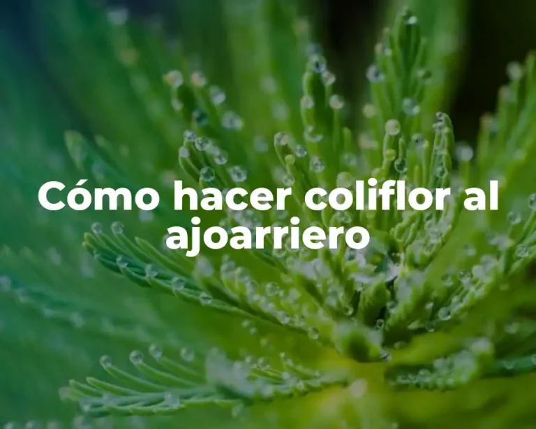 Cómo hacer coliflor al ajoarriero
