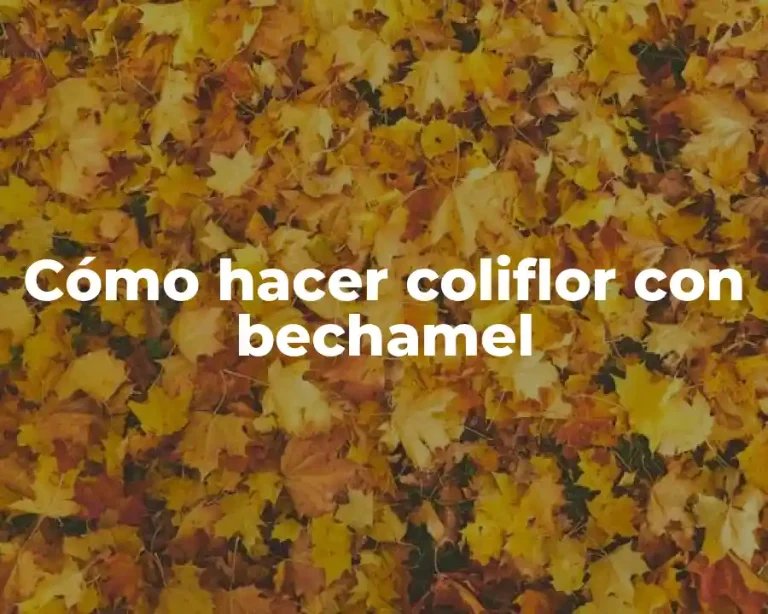Cómo hacer coliflor con bechamel