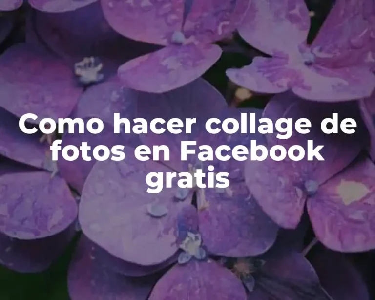 Como hacer collage de fotos en Facebook gratis