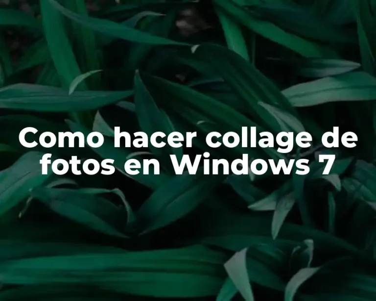 Como hacer collage de fotos en Windows 7