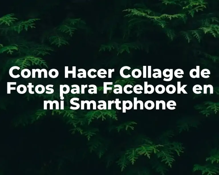 Como Hacer Collage de Fotos para Facebook en mi Smartphone