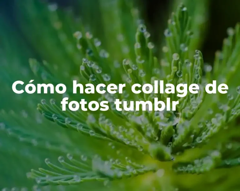 Cómo hacer collage de fotos tumblr