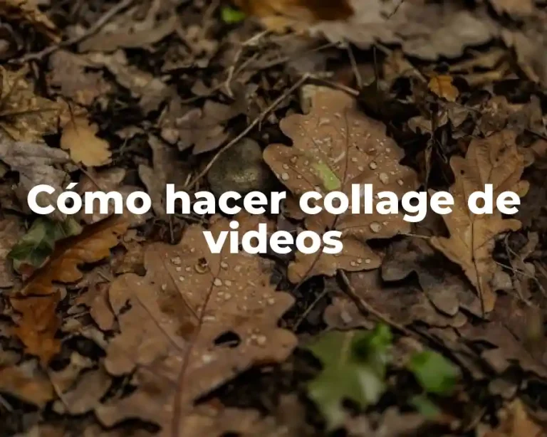 Cómo hacer collage de videos