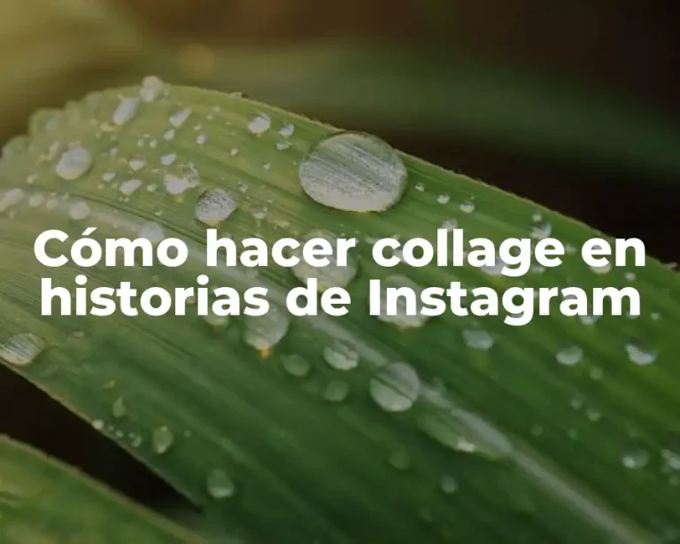 Cómo hacer collage en historias de Instagram