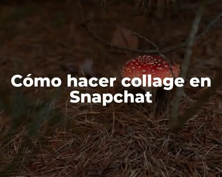 Cómo hacer collage en Snapchat