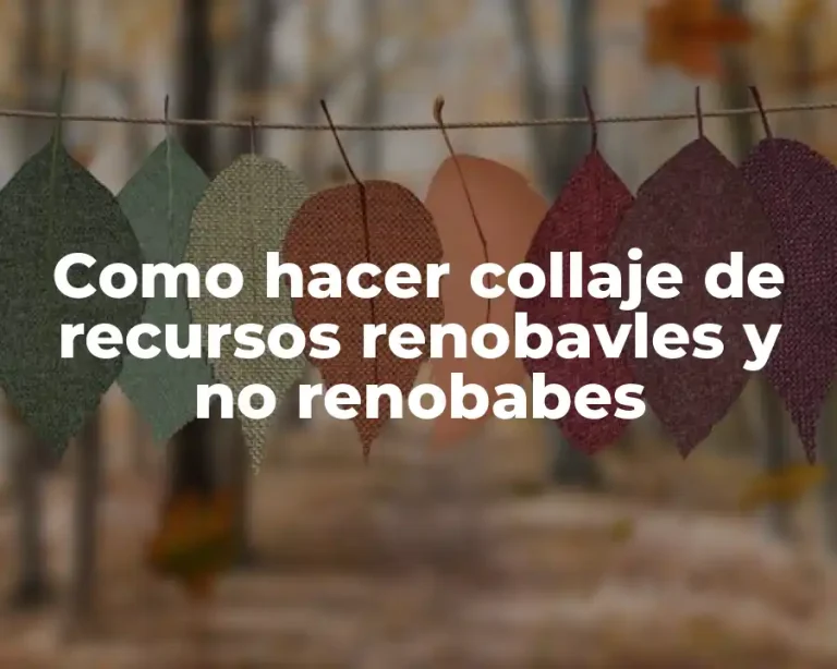 Como hacer collaje de recursos renobavles y no renobabes