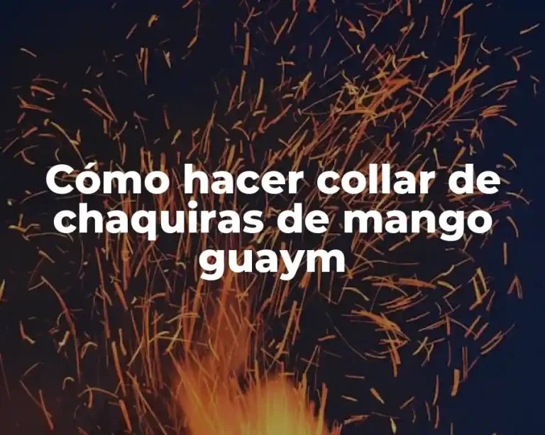 Cómo hacer collar de chaquiras de mango guaym