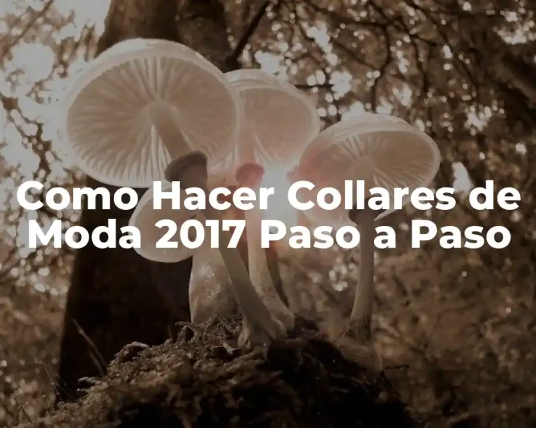 Como Hacer Collares de Moda 2017 Paso a Paso