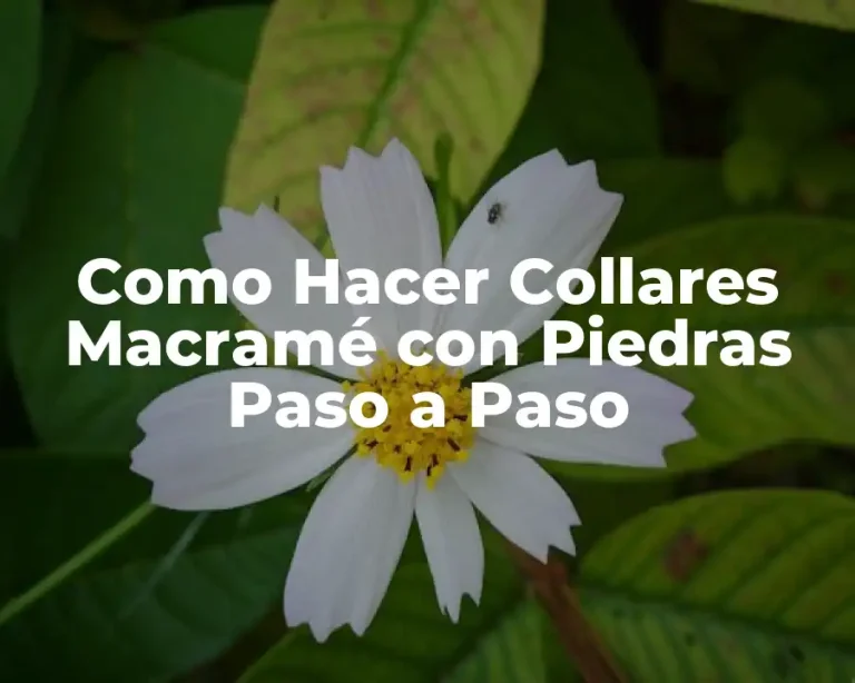 Como Hacer Collares Macramé con Piedras Paso a Paso