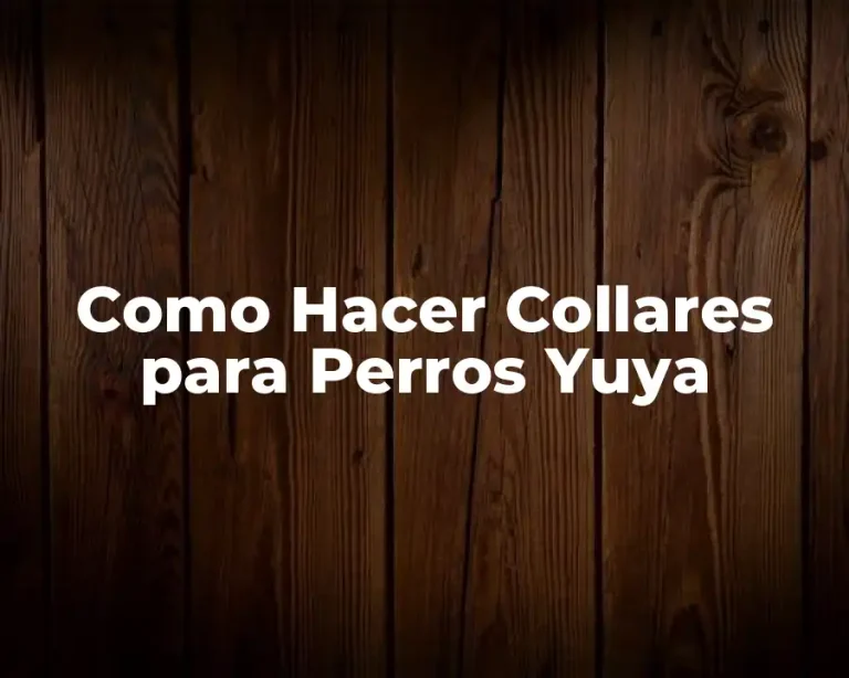 Como Hacer Collares para Perros Yuya