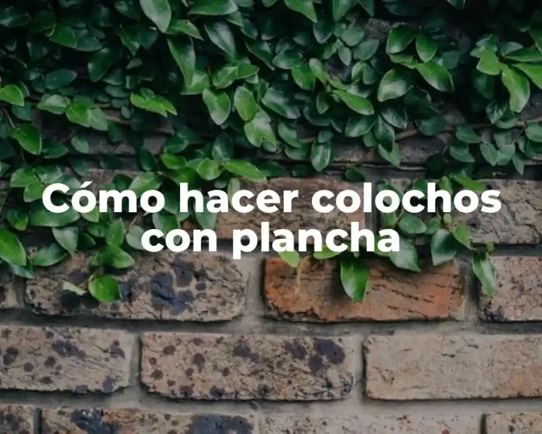 Cómo hacer colochos con plancha