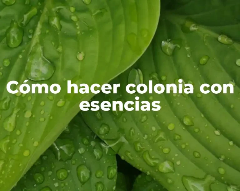 Cómo hacer colonia con esencias