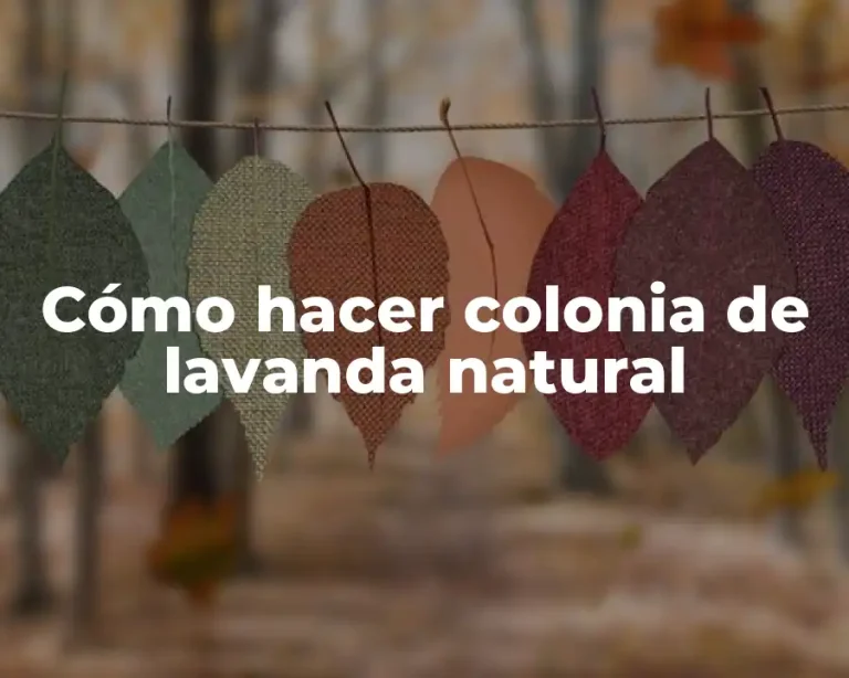 Cómo hacer colonia de lavanda natural