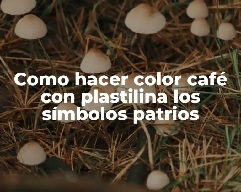 Como hacer color café con plastilina los símbolos patrios