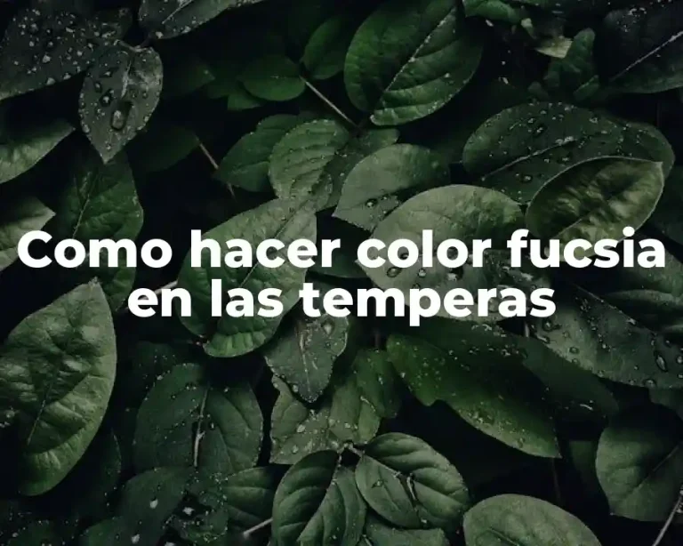 Como hacer color fucsia en las temperas