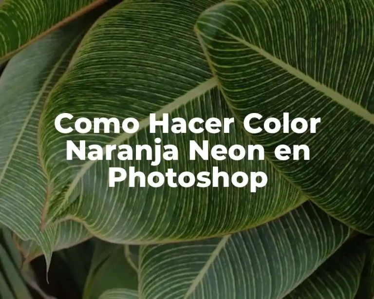 Como Hacer Color Naranja Neon en Photoshop