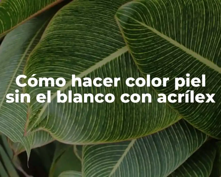 Cómo hacer color piel sin el blanco con acrílex