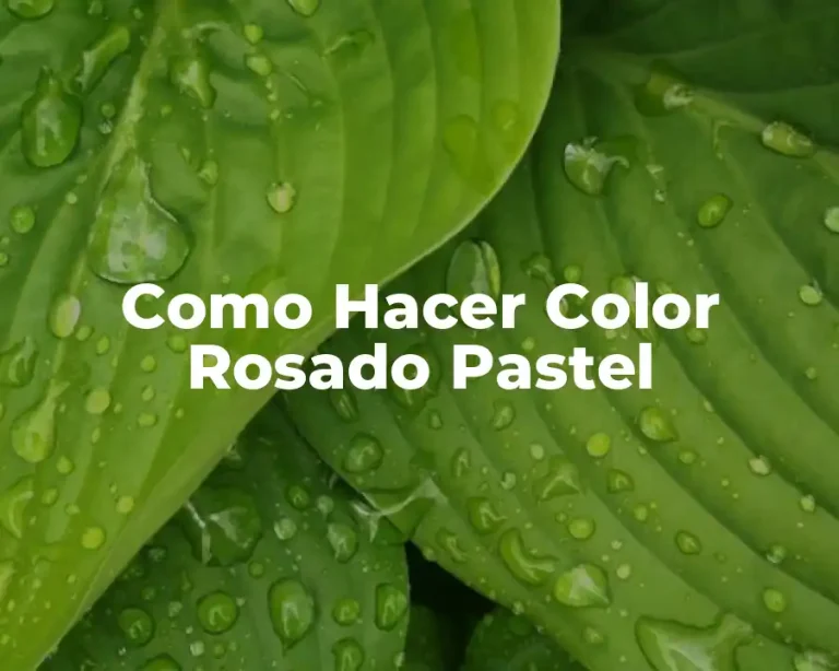 Como Hacer Color Rosado Pastel