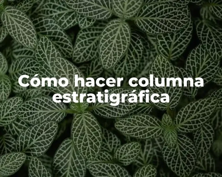 Cómo hacer columna estratigráfica