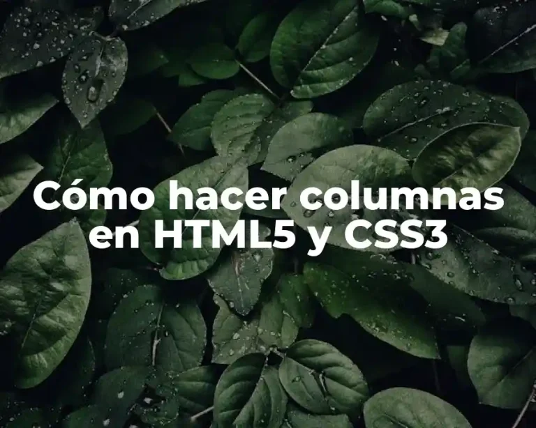 Cómo hacer columnas en HTML5 y CSS3
