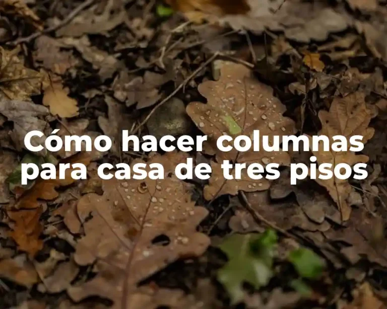 Cómo hacer columnas para casa de tres pisos