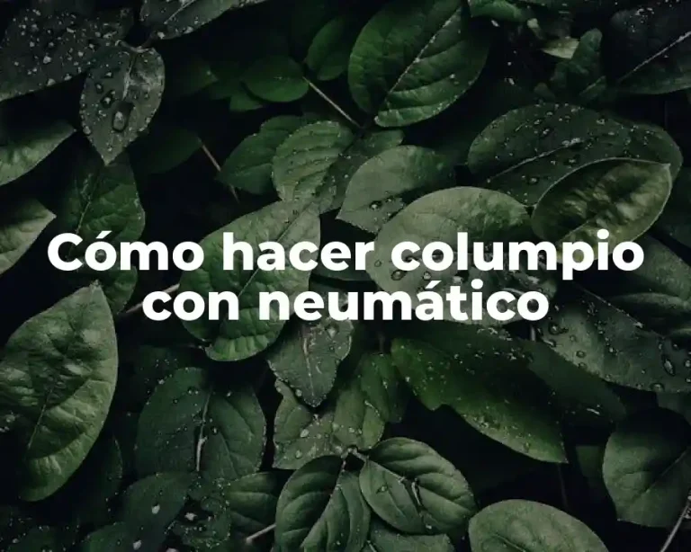 Cómo hacer columpio con neumático