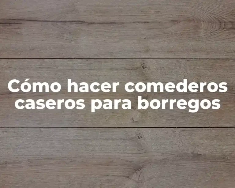 Cómo hacer comederos caseros para borregos
