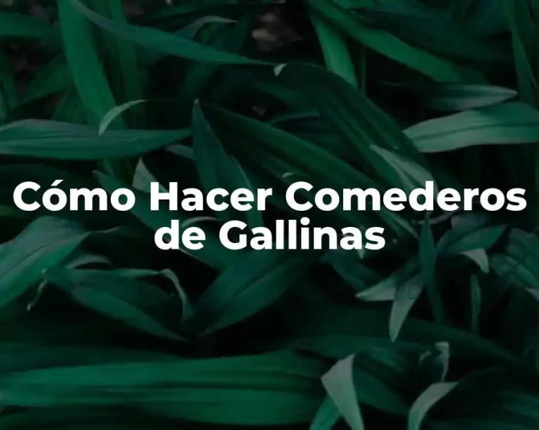 Cómo Hacer Comederos de Gallinas