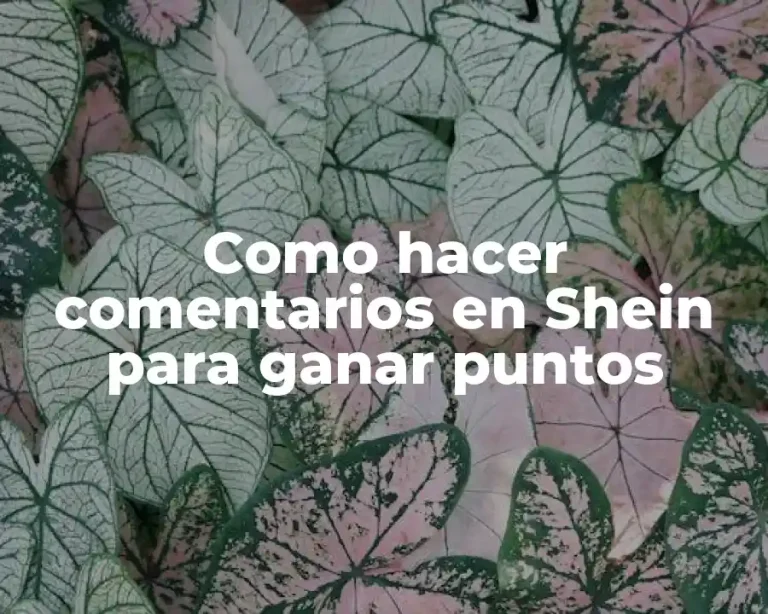 Como hacer comentarios en Shein para ganar puntos