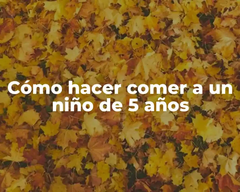 Cómo hacer comer a un niño de 5 años
