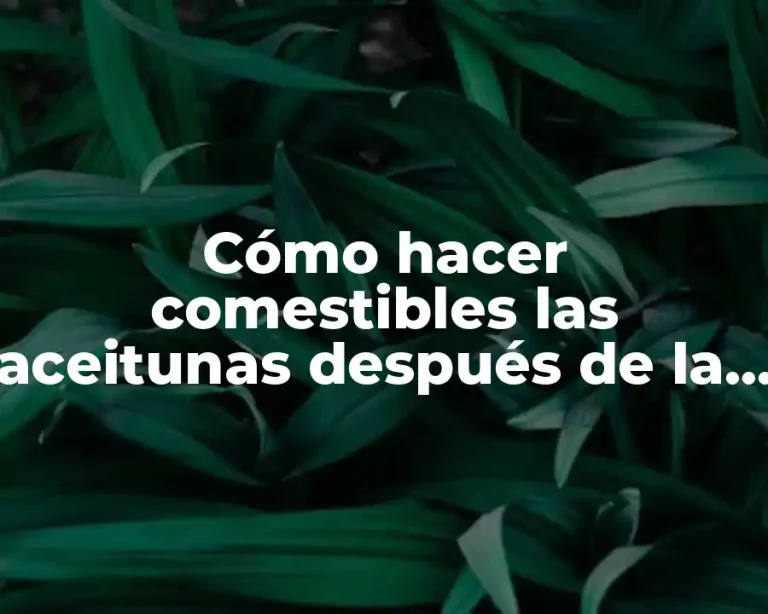 Cómo hacer comestibles las aceitunas después de la cosecha
