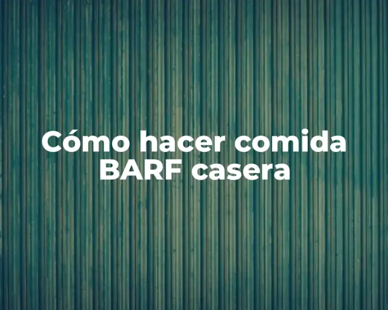 Cómo hacer comida BARF casera