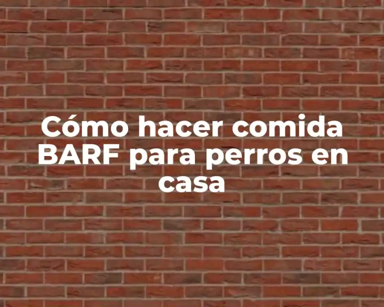 Cómo hacer comida BARF para perros en casa