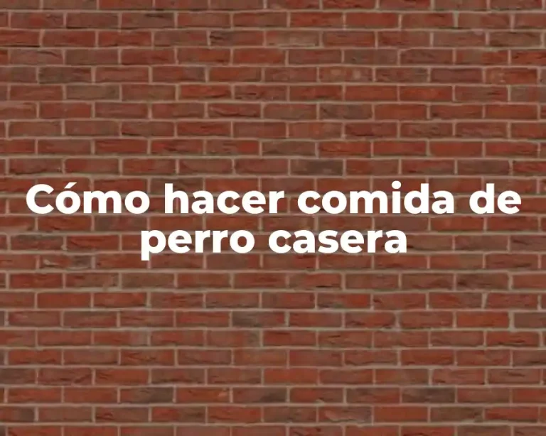 Cómo hacer comida de perro casera