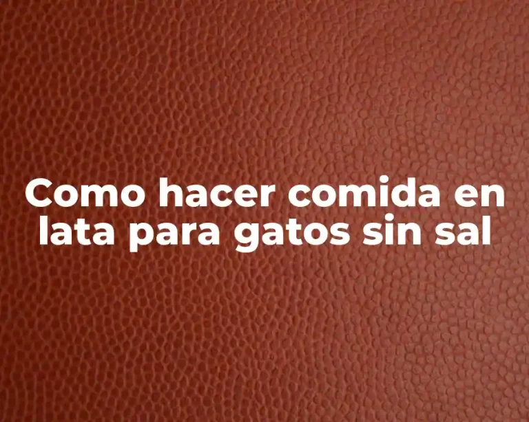Como hacer comida en lata para gatos sin sal