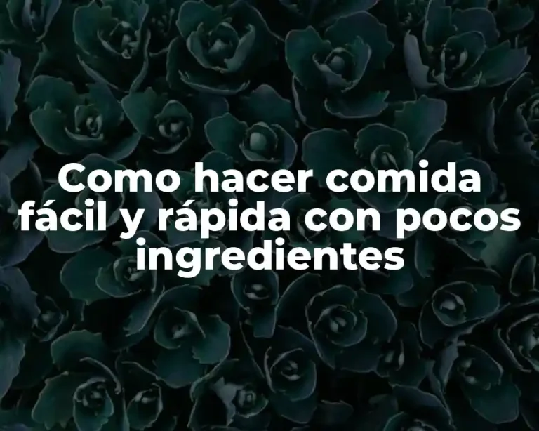 Como hacer comida fácil y rápida con pocos ingredientes