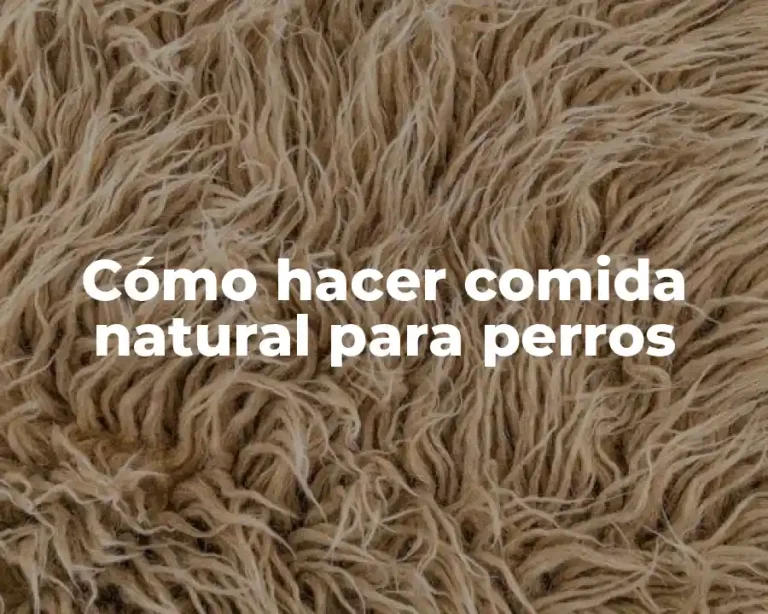 Cómo hacer comida natural para perros