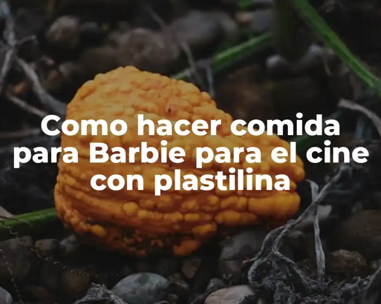 Como hacer comida para Barbie para el cine con plastilina