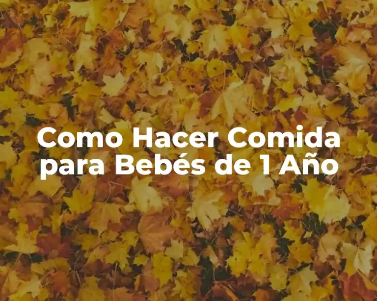 Como Hacer Comida para Bebés de 1 Año