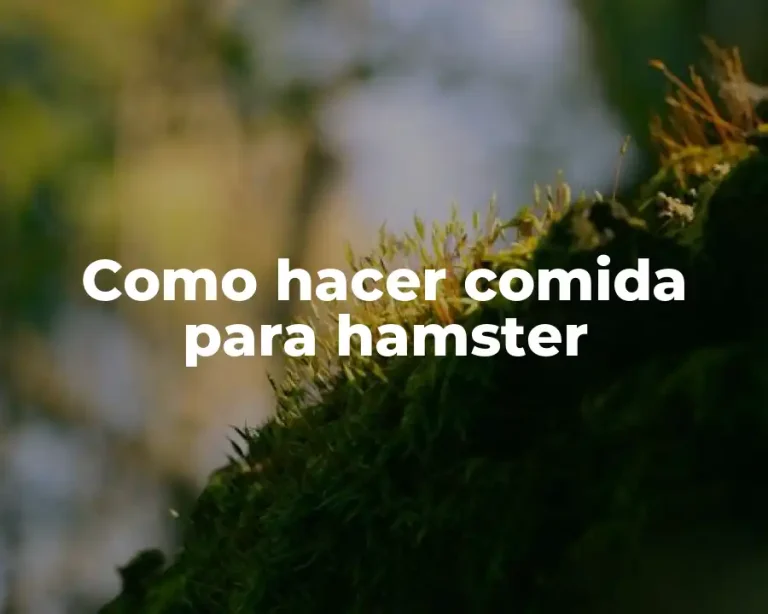Como hacer comida para hamster