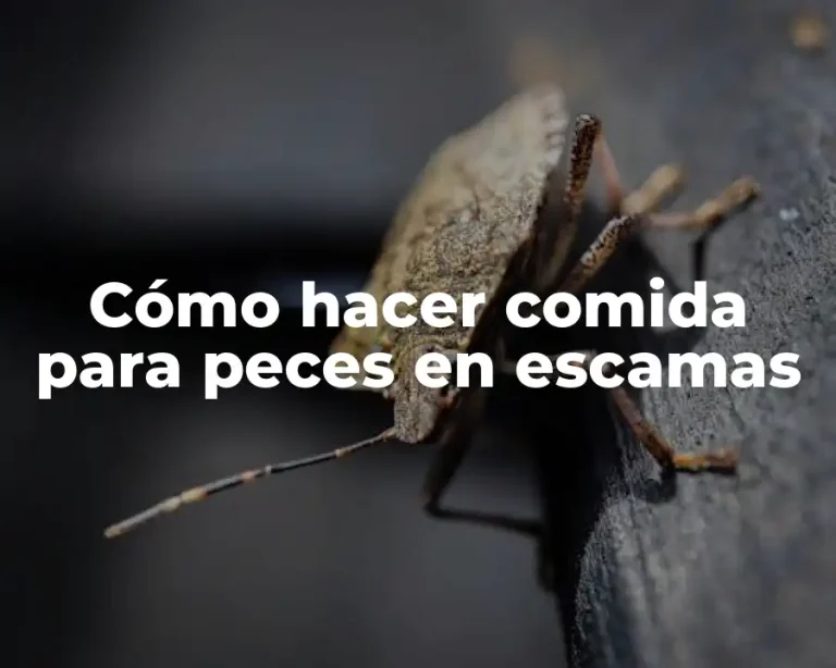 Cómo hacer comida para peces en escamas