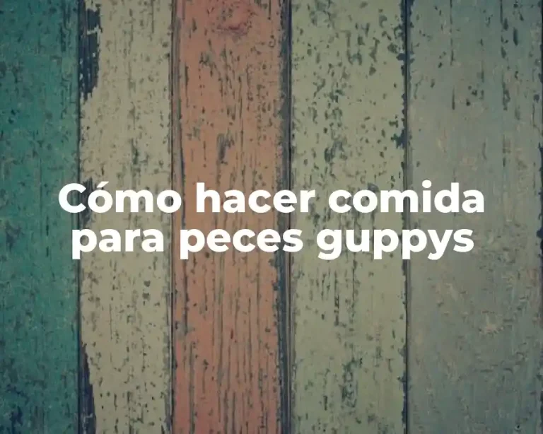 Cómo hacer comida para peces guppys