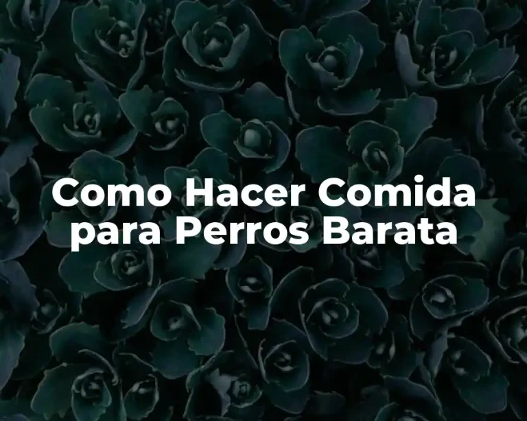 Como Hacer Comida para Perros Barata