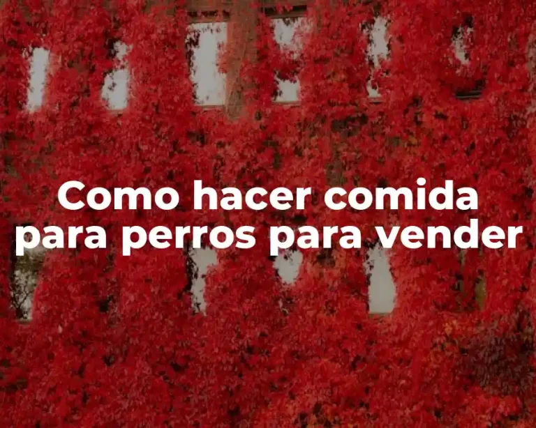 Como hacer comida para perros para vender