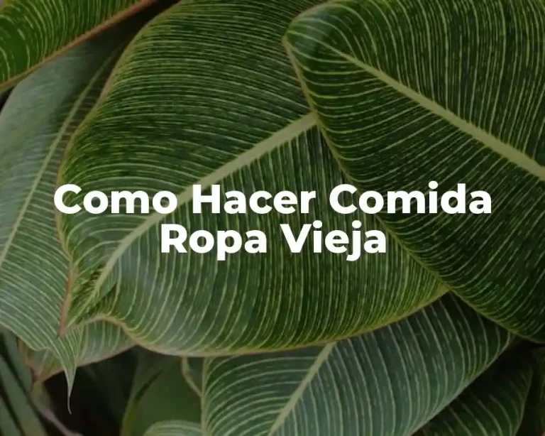 Como Hacer Comida Ropa Vieja